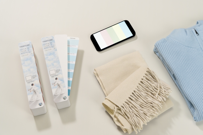 PANTONE 11-4201 Cloud Dancer FHI Guide Usage