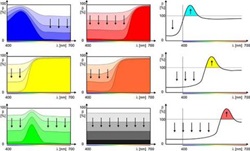 Color Theory - Reflectance.jpg